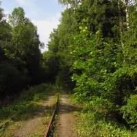 За пару дней до "глобального похолодания". Ловлю тепло :: Андрей Лукьянов