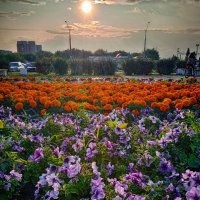 Прогулки по вечернему городу. Мобилография. :: Дмитрий Костоусов