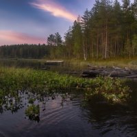 Карелия :: Анжела Пасечник