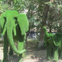 Скульптура слоны. :: Нина Акарцева 