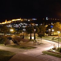Парк "Рике". Ночной Тбилиси. :: Николай Рогаткин