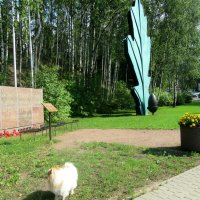 Мемориал Румболовская гора, входящий в состав Зелёного пояса Славы :: Елена Павлова (Смолова)