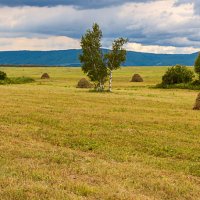 Сенокосная пора :: Любовь Потеряхина