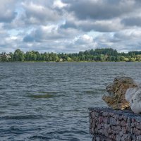 "Каменный дракон" на берегу Волги. :: Михаил "Skipper"