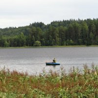 Рыбак.Озеро Сапшо .04.08.2019 г. :: Ольга Митрофанова