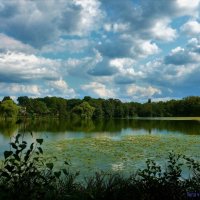 Летом на озере :: Nina Yudicheva