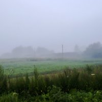 Вечерний туман :: Александр 