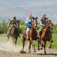 Скачки без сёдел на рабочих лошадях :: Nn semonov_nn