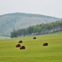 Хакасия :: Сергей Никифоров