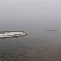 Зимний туман. :: Liudmila LLF