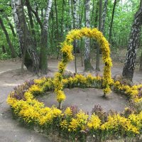 Арка и кольцо из цветов золотарника. :: Василий Капитанов