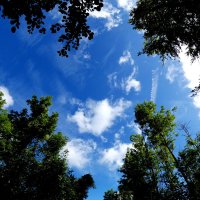 Ловить облака-или мечтать :: Heinz Thorns
