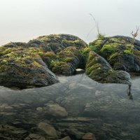 Каменный островок в тумане... :: Сергей Герасимов