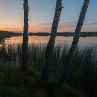 Августовский вечер на Лебяжьем озере. :: Виктор Евстратов