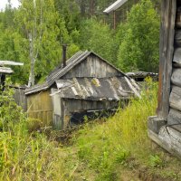 В поселке Белое озеро. Избушка у леса :: Владимир Шибинский