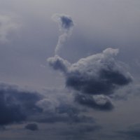 страус улетел в облако :: Георгий А