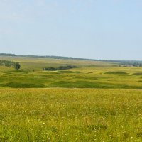 "Петромихайловский АРКАИМ" :: Дмитрий Петренко