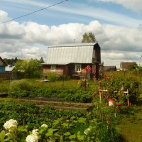 Море красок августа. :: веселов михаил 