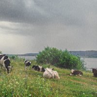 Одни… наедине с дождем :: Владимир Деньгуб