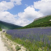 Дорога на Мангуп Кале :: Наталия Григорьева