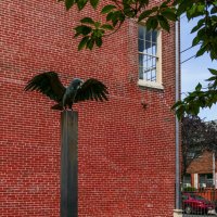 Черный ворон на углу дома-музея Эдгара По (Филадельфия) :: Юрий Поляков