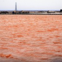 Розовое озеро Сасык-Сиваш :: Ольга (crim41evp)