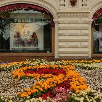 Москва. ГУМ. Фестиваль цветов. :: Надежда Лаптева