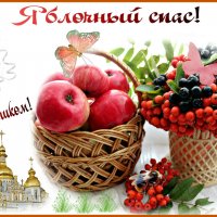 С праздником,Друзья! :: Ольга Митрофанова