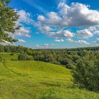 Летние просторы... :: Владимир Жданов