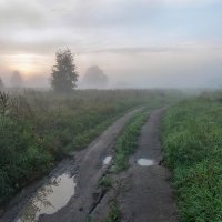 Туманным утром после ночного дождя :: Валерий Иванович