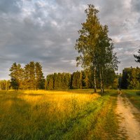 Август... скоро осень (2 вариант) :: Олег Бабурин