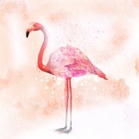 Flamingo :: Лара Leila