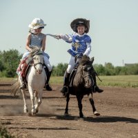 скачки на пони :: Елена Логачева