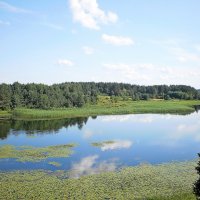 КРАСОТА  ВДОЛЬ ОЗОВОЙ  ГРЯДЫ.... :: Алла Борисовна Журавель