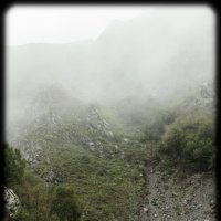Туман над Долиной нарзанов :: Виктория Балаян
