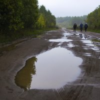 За грибами. :: Валерий Молоток