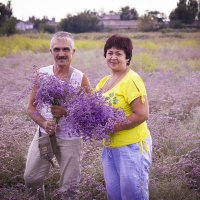 Нарву цветов и подарю букет... :: Юлия Мамонтова