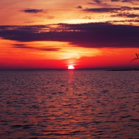 Кровавое Белое Море:закат плавно переходящий в рассвет :: Елена Левчук