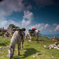 Алтай, Замки Горный Духов :: Тамара Гераськова