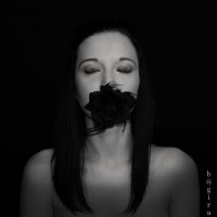 черная роза :: Irina Bogatyreva