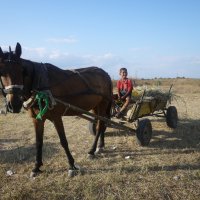 Цыганский мальчик :: Надежда Судакова