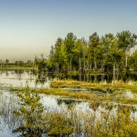 Вода,вода... :: Евгений Ананевский