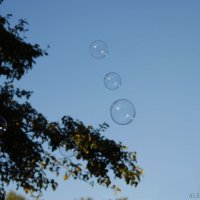 Пузыри :: Алёна Романова