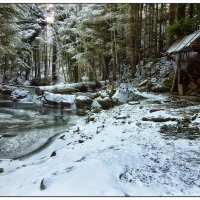 *** :: Андрій Кізима