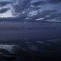 Туман :: Ярослав Савченко