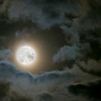 Лунный свет... :: Павел Бутенко
