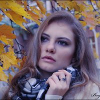 холодная осень :: Irina Bogatyreva