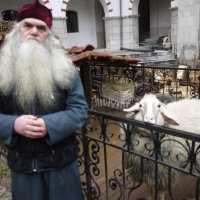 Дьякон Михаил из Бачковского монастыря. Прожил в монастыре 35 лет. :: Надежда Судакова