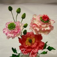 Peony flovers :: Jana 