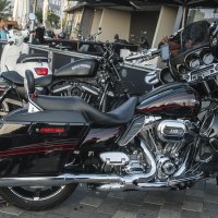 Harley Davidson :: susanna vasershtein